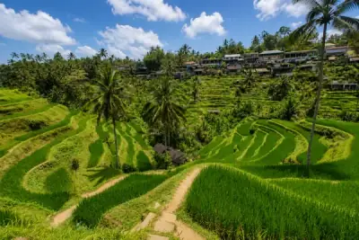 Explore Ubud Tour